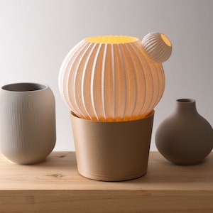 MARU Cactus Table Lamp by Honey & Ivy - Desert Glow - Cozy Home Lighting