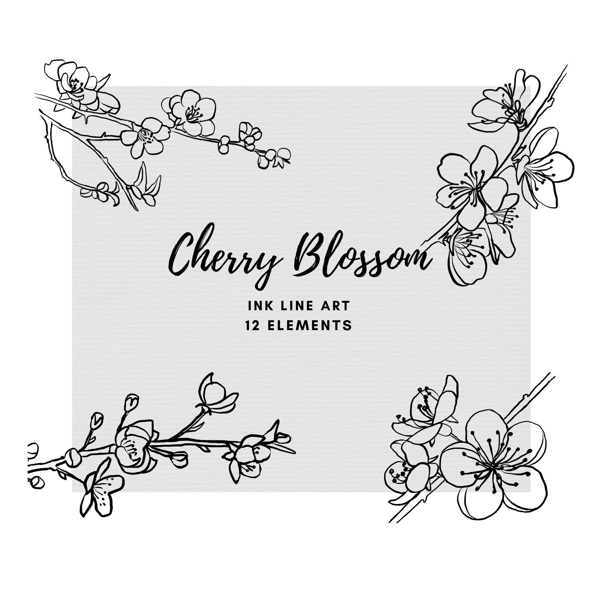 Cherry Blossom Ink Line Art, Black and White Graphic Illustration