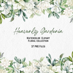 Himmlische Gardenie Aquarell Clipart, weiße Blumen Clipart, weiße Blume Bündel Clipart, Hochzeit Braut Babyparty Clipart Sublimation Png