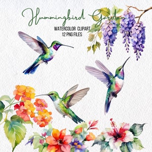 Kolibrietuin clipart, lente bloemen clipart, lentetuin clipart, aquarel clipart, tuin clipart, png-sublimatie