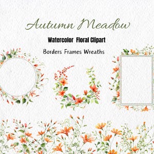 Clipart floral prairie d'automne, clipart fleurs sauvages aquarelle, automne champ verdure mauvaises herbes Clipart Clipart floral orange sublimation png