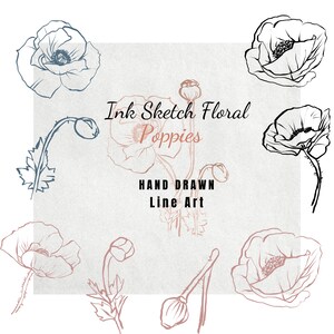 Coquelicots Floral encre dessin au trait, encre croquis Clipart, dessinés à la main couleur encre contour fleurs, printemps Floral, fichiers PNG