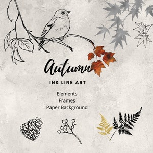 Vogel inkt lijnwerk tekening, herfstbladeren, gebladerte lijntekeningen, zwart-witte kunst, kaartsjabloon, hand getekende clipart, PNG-bestand direct downloaden