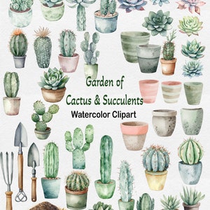 Clipart de cactus suculentos de acuarela, clipart de jardín de cactus, clipart de suculentas, kit de paquete de sublimación de diseño