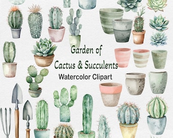 Watercolor Cactus Succulent Clipart, Cactus Garden Clipart, Succulent Clipart, Design Sublimation Bundle Kit