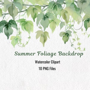 Sommer Laub Backdrop Clipart, Aquarell Border Pflanzen, Rebe Blätter Clipart, Grün lassen Silhouetten, Backdrop Border Clipart PNG-Dateien