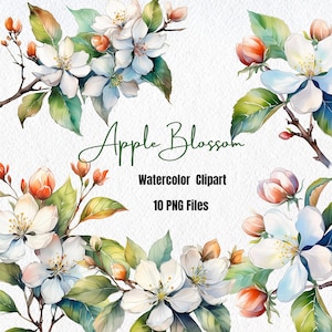 Clipart de flor de maçã, clipart aquarela, clipart de jardim de primavera, clipart de flor japonesa Sakura, clipart de jardim, sublimação PNG
