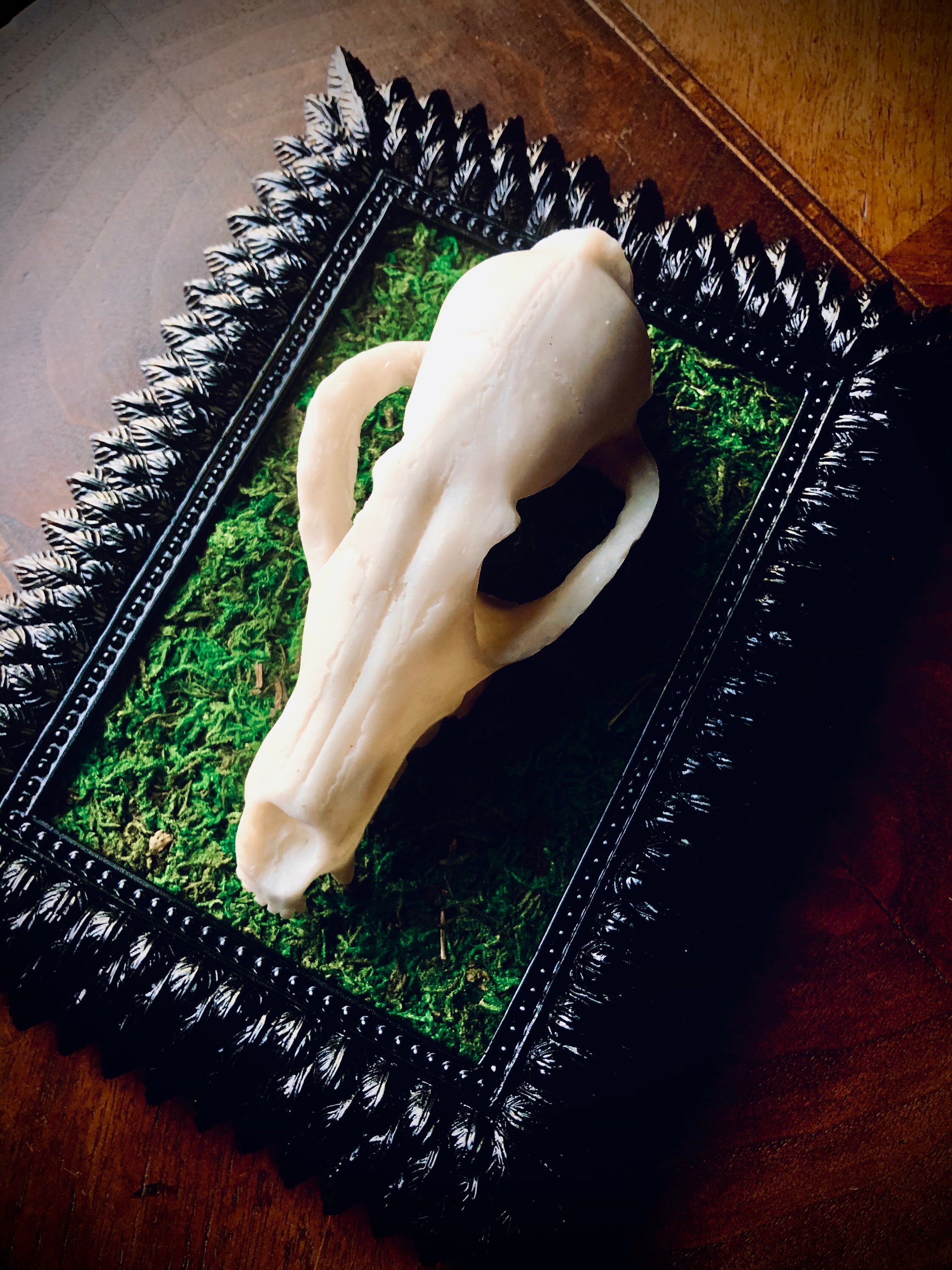 Animal Skull Framed Faux Taxidermy Wall Art Decor Goth Decor Etsy