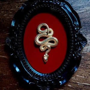 Serpent In Ornate Frame | Macabre | Faux Taxidermy | Snake | Macabre Oddities | Goth Wall Art | Gothic Home Decor | Oddities | Victorian
