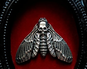 Cool Baroque Style Frame With Death's Head Taxidermy Moth - Unique Insect Display