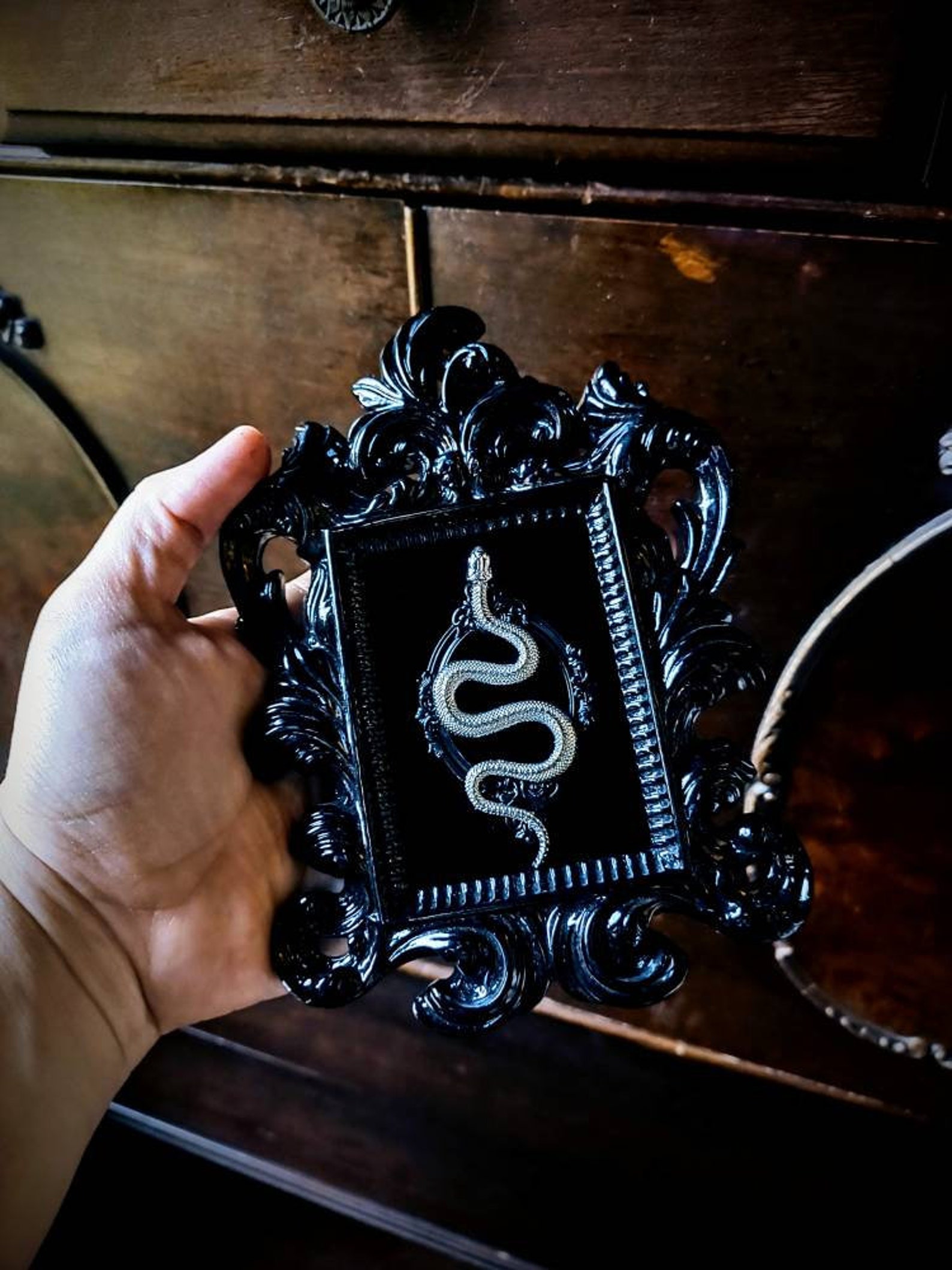 Hand holding a small ornate black baroque frame featuring a coiled silver metal snake on black velvet background