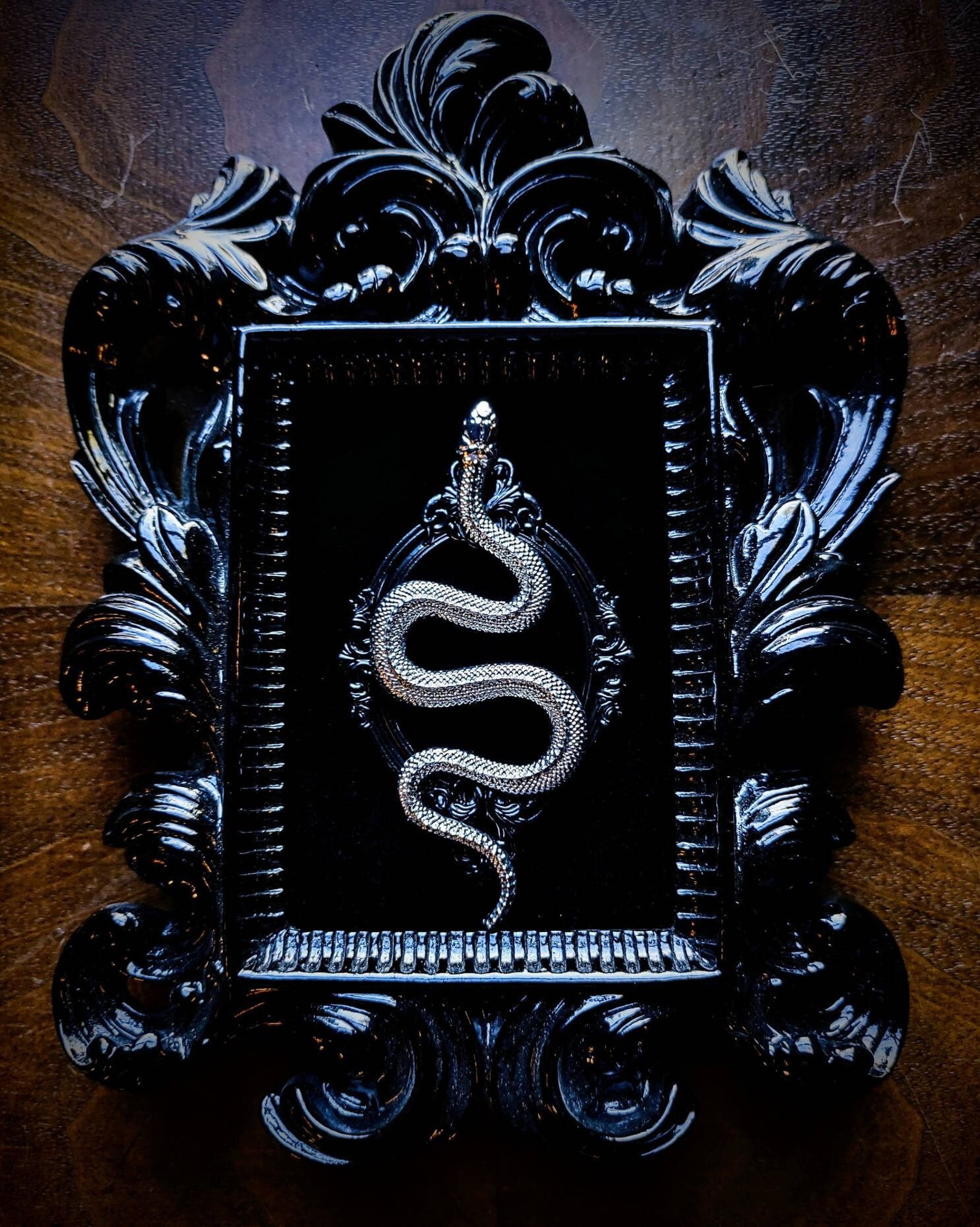 Silver metal snake mounted on black velvet, displayed in an ornate glossy black baroque frame