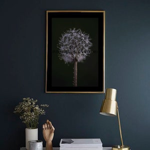 Dandelion In Seed Fine Art Photo | Instant Download | Wall Art | Gift | Wish