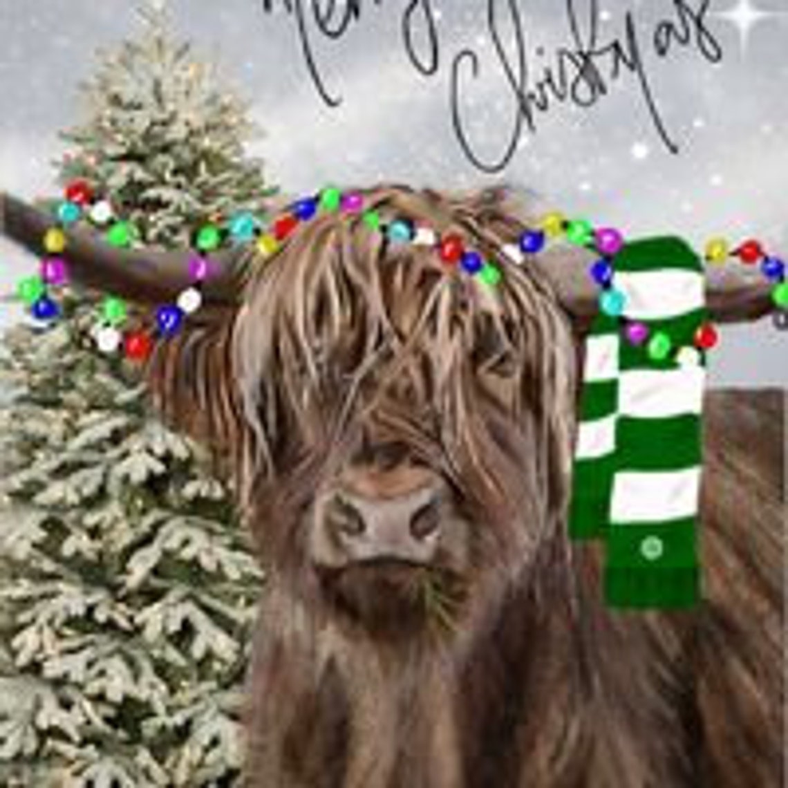 Celtic FC Christmas Cards, Highland Cow, Christmas Cards, Celtic Fc,scottish, Scotland,highland