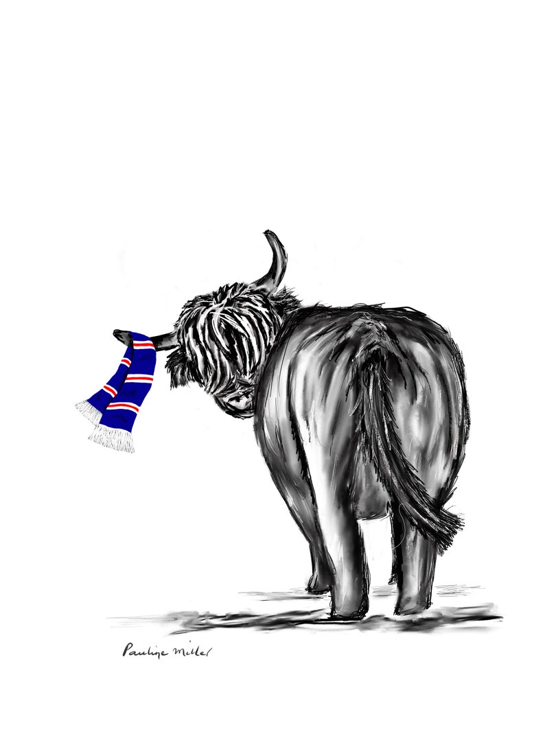 May include: A black and white illustration of a Highland cow wearing a blue and white striped scarf. The cow is facing away from the viewer and has its head turned to the side. The scarf is tied around the cow's neck and hangs down its back. The illustration is signed "Pauline Miller".