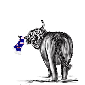 Rangers, Highland Cow Card, Rangers Football Card, Scottish, Scotland, Rangers Card, Highland Cow, Cards for Men, Football image 1