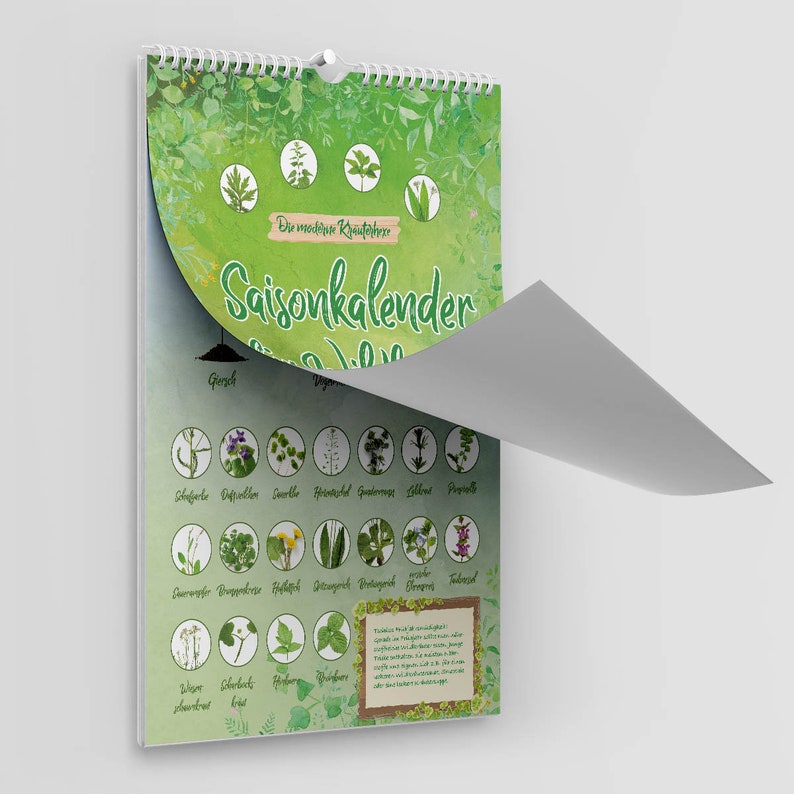 Saisonkalender für Wildkräuter in DIN A3 ewiger Erntekalender für
