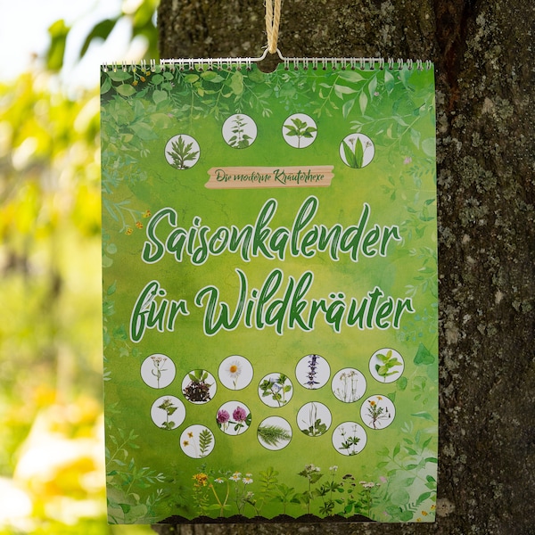 Saisonkalender für Wildkräuter in DIN A3 | ewiger Erntekalender für Wildpflanzen | die moderne Kräuterhexe