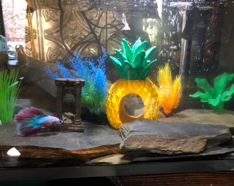 vivarium accessories for sale