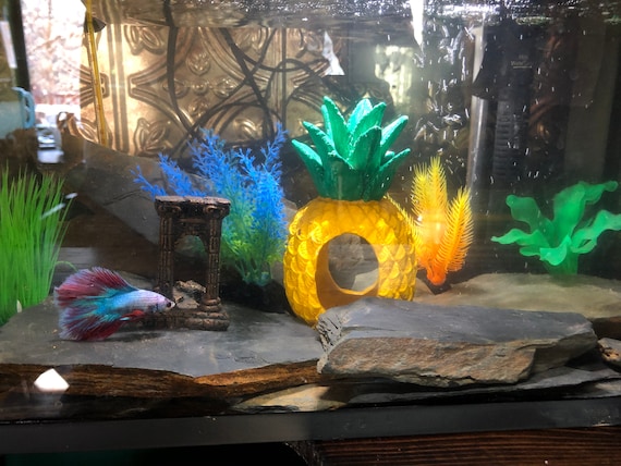 Rock Ideas for Cichlid Tank? : r/Cichlid