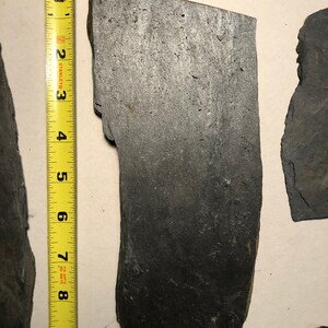 May include: A close-up of a dark gray slate tile measuring approximately 7 inches in length. The tile has a rough, textured surface and irregular edges.