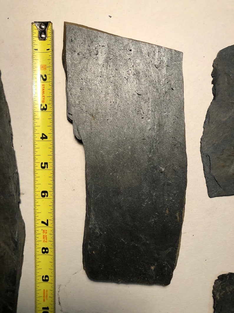 May include: A close-up of a dark gray slate tile measuring approximately 7 inches in length. The tile has a rough, textured surface and irregular edges.