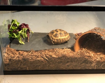 Natural Slate Stone: Terrarium Heat Rock, Turtle Basking Platform