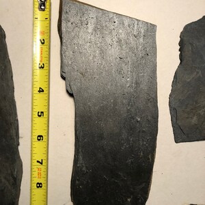 May include: A close-up of a dark gray slate tile, measuring approximately 7 inches in length. The tile has a rough, textured surface and is surrounded by a white background.