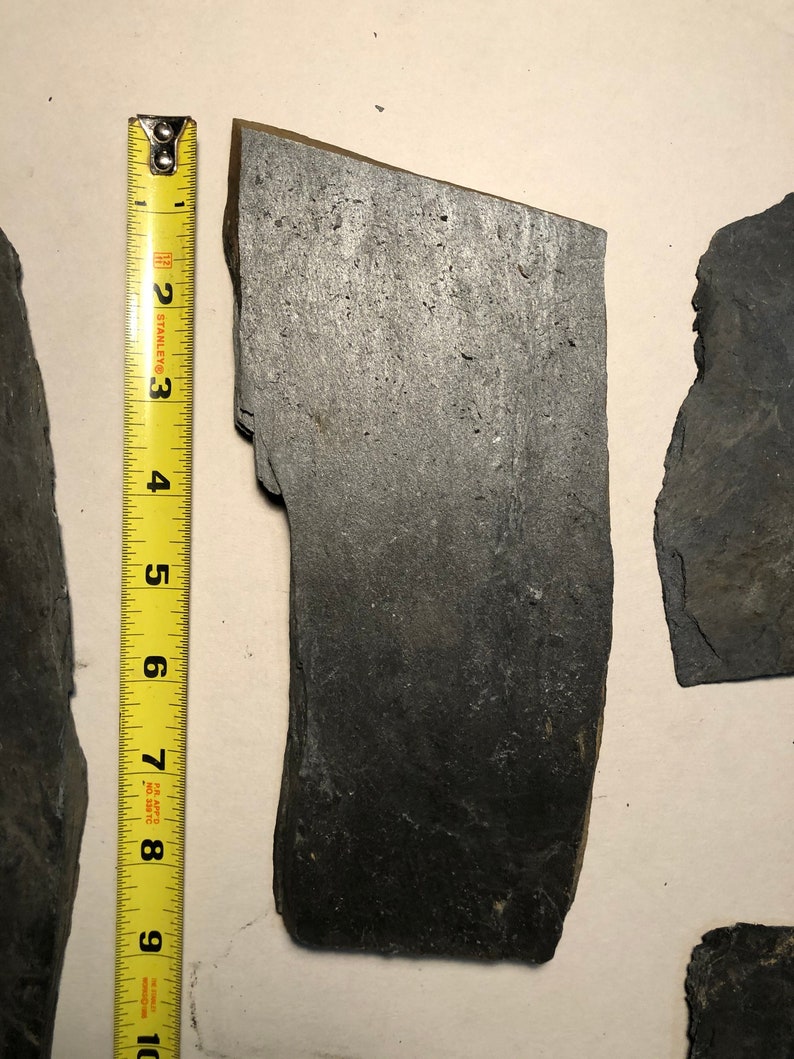May include: A close-up of a dark gray slate tile, measuring approximately 7 inches in length. The tile has a rough, textured surface and is surrounded by a white background.