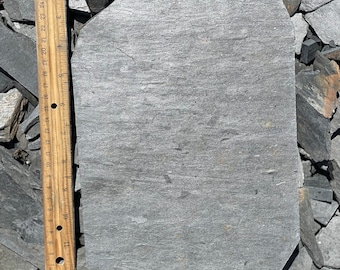 Medium Slate Steppingstone