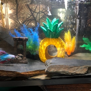 Natural Slate Rock Cave Fish Tank Aquarium Decor For Reptiles Etsy