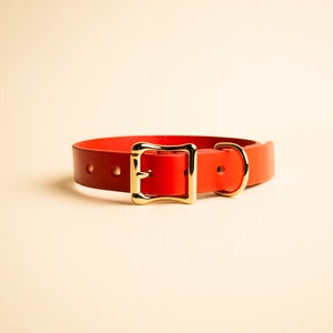 Pode incluir: Uma coleira vermelha vibrante para cães com uma fivela dourada e acessórios a condizer. A coleira é feita de couro liso. Um acessório elegante para animais de estimação. A coleira tem cerca de 2,5 cm de largura.