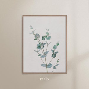May include: A framed print of a watercolor painting of a eucalyptus branch with green leaves on a white background. The print is framed in a light wood frame. The word "nolla" is printed in a light gray font at the bottom of the print.