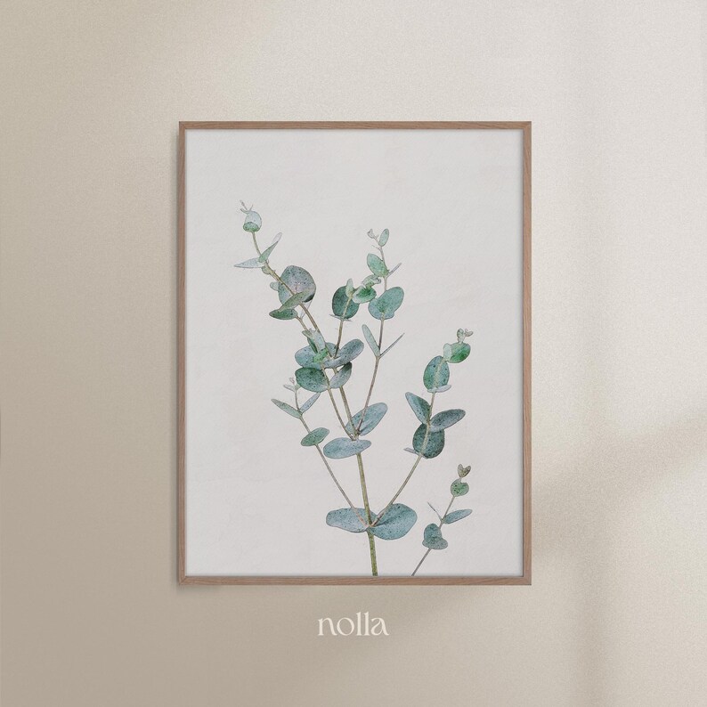 May include: A framed print of a watercolor painting of a eucalyptus branch with green leaves on a white background. The print is framed in a light wood frame. The word "nolla" is printed in a light gray font at the bottom of the print.