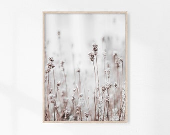 May include: A photograph of a field of dried wildflowers in shades of brown and white. The flowers are tall and slender, with delicate blooms. The background is a soft, blurred white.