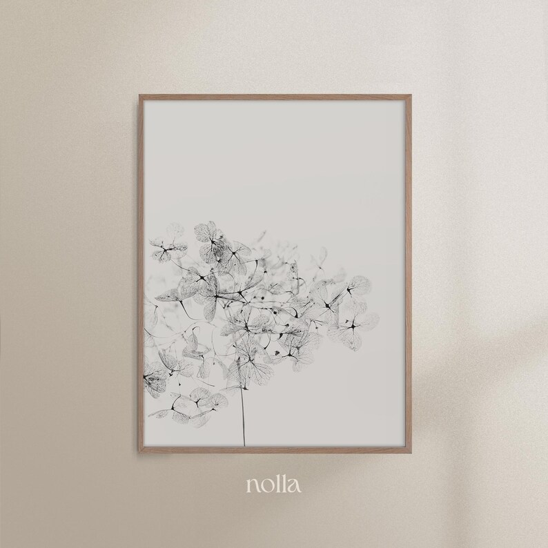 May include: Black and white photograph of a delicate, dried flower arrangement in a simple, wooden frame. The image is set against a light beige background. The word "nolla" is printed below the frame.