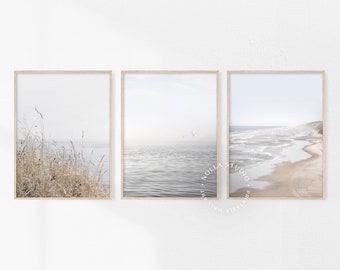 Küsten Set von 3, Strand druckbare Kunst, getrocknetes Pampasgras, Strand Haus Dekor, Galerie Wanddruck, modernes minimalistisches Poster, Küsten Wandkunst