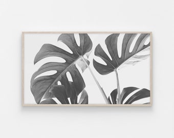 Samsung Frame TV, Monstera Art, Tropical Palm Leaves, Frame Art TV, Art for Samsung Frame TV Nature Art, The Frame, Plant Leaf Botanical Art