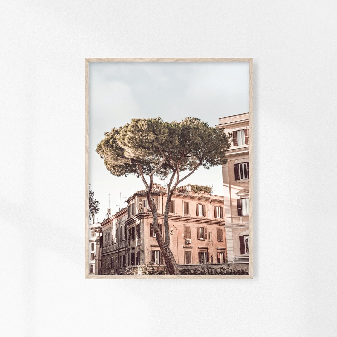 Rome Italy Print, Italy Wall Art, Rome Street Photography, Stone Pine ...