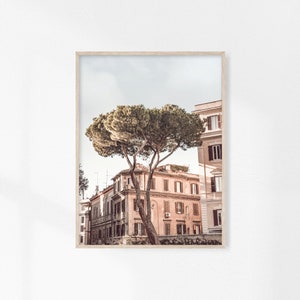 Puede incluir: Una fotografía de un edificio con un gran árbol en frente. El edificio es de color rosa claro y tiene muchas ventanas. El árbol es un pino con agujas verdes. El cielo es de color azul claro.