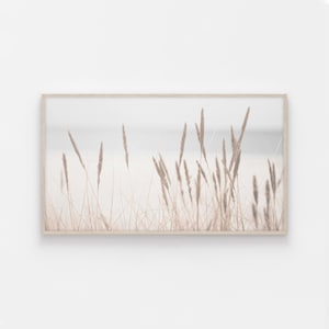 May include: A framed photograph of a field of tall, dried grasses in a soft, muted beige color against a blurred background.