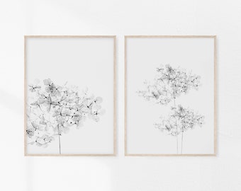 Hortensia, Juego de 2, Impresión de arte floral, Flor, Imprimible, Hygge, Arte botánico, Planta de hortensia, Minimalista, Blanco y negro, Descargar