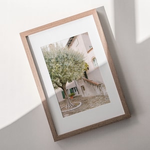 Pode incluir: Uma fotografia emoldurada de um pequeno p&aacute;tio com uma &aacute;rvore no centro. O p&aacute;tio &eacute; pavimentado com pedra e as paredes s&atilde;o pintadas de rosa claro. A &aacute;rvore tem folhas verdes e um tronco grosso.