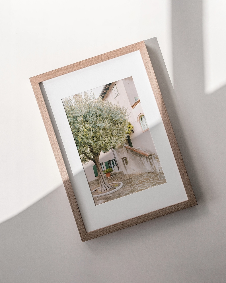 Pode incluir: Uma fotografia emoldurada de um pequeno p&aacute;tio com uma &aacute;rvore no centro. O p&aacute;tio &eacute; pavimentado com pedra e as paredes s&atilde;o pintadas de rosa claro. A &aacute;rvore tem folhas verdes e um tronco grosso.