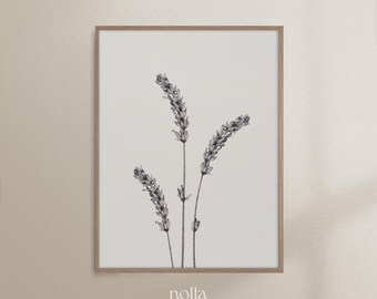 May include: A framed print of a black and white illustration of three sprigs of lavender.