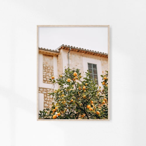 Orange Fruit Fruit Wall Decor Orange Tree Wall Art Print Etsy