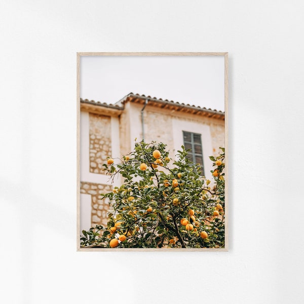 Lemon Tree Print, Mediterranean Garden, Fruit Prints, Orange Tree Photography, Italy Wall Art, Sicily Printable, Farmhouse Decor,Rustic Art
