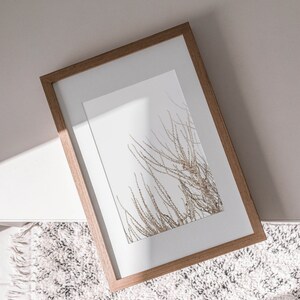 May include: A framed print of a dried plant with a light brown wooden frame. The print is on a white background and the plant is a light brown color. The frame is sitting on a white fluffy rug.