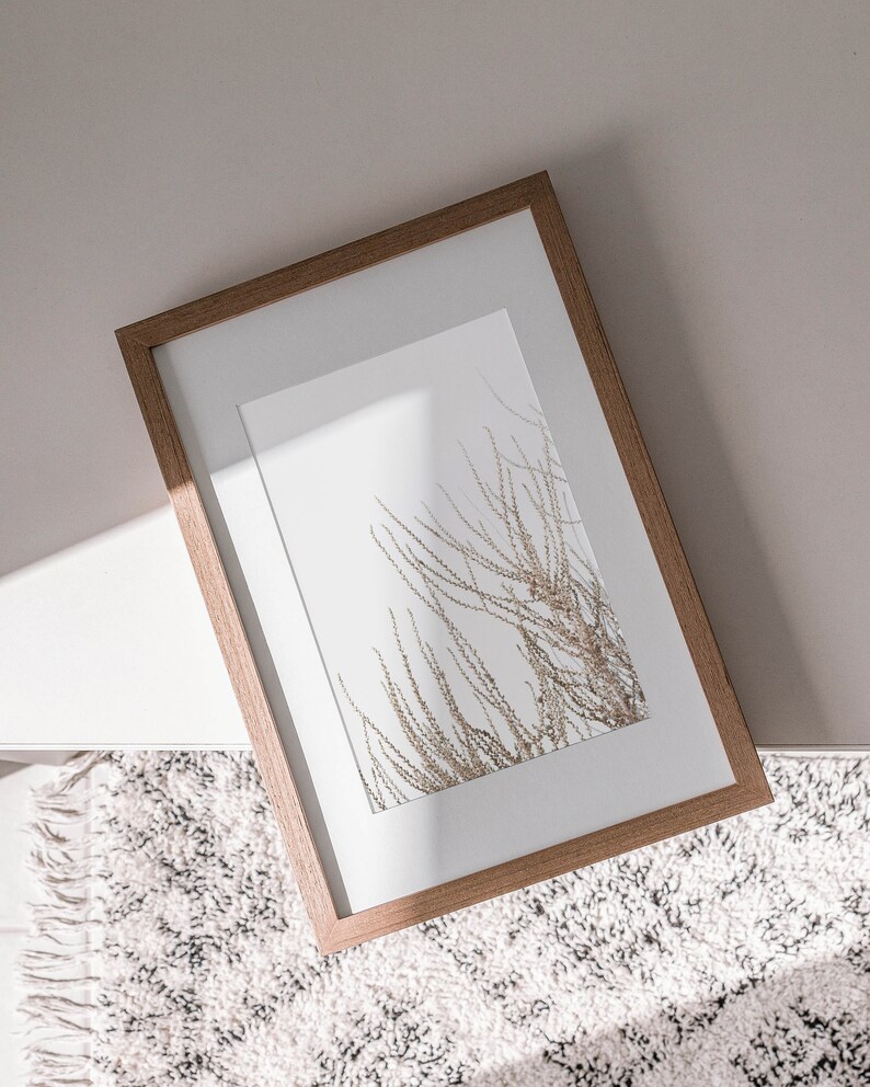 May include: A framed print of a dried plant with a light brown wooden frame. The print is on a white background and the plant is a light brown color. The frame is sitting on a white fluffy rug.