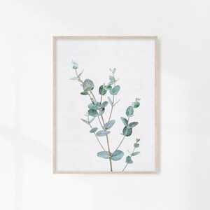 May include: A framed print of a watercolor painting of a sprig of eucalyptus leaves in shades of green against a white background.
